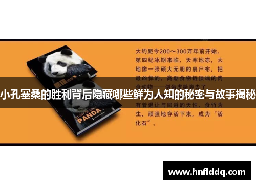 小孔塞桑的胜利背后隐藏哪些鲜为人知的秘密与故事揭秘